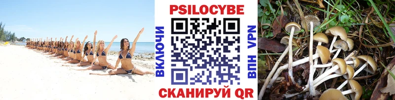 Псилоцибиновые грибы ЛСД Абдулино